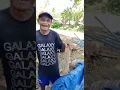 Lagu PANTUN MADURA KOCAK !!NGAKAK BANGET