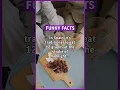 Download Lagu In Spain, it’s traditional to eat 12 grapes at the stroke of midnight on New Year’s Eve for… #funny