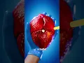Download Lagu How An Autopsy Is Performed 😨 Download Lagu How An Autopsy Is Performed 😨