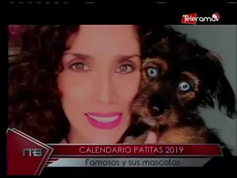 Calendario Patitas 2019 Famosos y sus mascotas