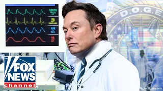 'DO YOU HAVE A PULSE?': Musk defends DOGE productivity email at Trump's first full Cabinet meeting