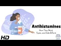 Antihistamines The Science Behind Them