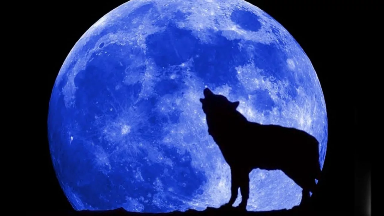 BOB SEGER * Shame on the Moon 1981 HQ BOB SEGER * Shame on the Moon 1981 HQ