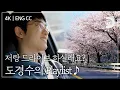 Download Lagu [ENG CC] 흥얼흥얼 드라이브 나들이에 콧노래가 절로 나오는 도경수의 Playlist [잠적:도경수]