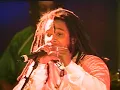 Stephen Marley - One Good Spliff | Ziggy Marley & the Melody Makers LIVE! (2000)