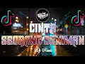 Download Lagu DJ CINTA SEORANG SENIMAN || TIADA PERNAH AKU SANGKA BERPISAH JUA KITA AKHIRNYA || DJ TERBARU 2K24