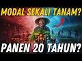 Lagu 10 TANAMAN CUKUP DITANAM SEKALI? Bisa Memberi Makan Selama 20 Tahun (Investasi Abadi)‼️