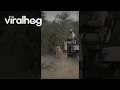 Download Lagu Lion Catches Safari Tracker By Surprise || ViralHog