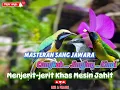 Download Lagu MASTERAN SANG JAWARA‼️Cungkok _ Jinjing _Kinoi // MENJERIT-JERIT KHAS MESIN JAHIT