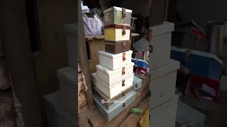 How Metal Money Boxes Are Made