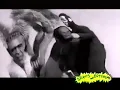 Beavis and Butt-Head - Do 'White Zombie - Thunder Kiss '65'