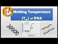 Melting Temperature of DNA Tm