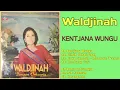Lagu WALDJINAH Dalam Album: \