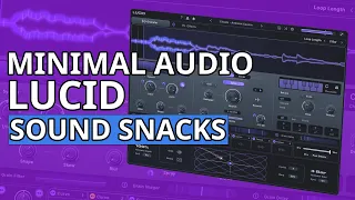 Minimal Audio Lucid: Seven Experiments With The New Granular Plugin | SYNTH ANATOMY