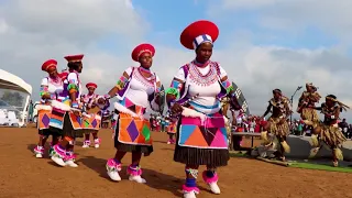 amagcokama umquba official music video 