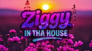 Have I Told You Lately - Rod Stewart Ziggy in tha House Cover