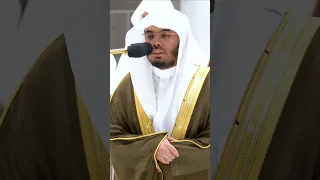 وقال نوح رب لا تذر على الأرض من الكافرين ديارا تلاوة بتحبير خاشع للشيخ ياسر الدوسري التلاوة بالوصف 