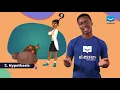 The Scientific Method uLesson