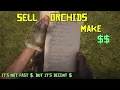 RDRII Sell orchids make