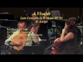 Vivaldi Lute Concerto in D Major RV93 II - Largo