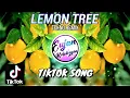 Download Lagu LEMON TREE | TEKNO REMIX | TIKTOK VIRAL | Jasmine Xu x Dj Rowel