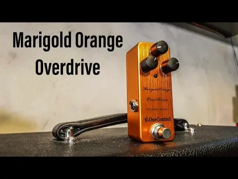 One Control Marigold Orange OverDrive | Delicious Audio