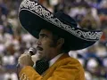 Vicente Fernández - Hermoso Cariño (En Vivo)