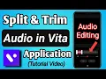 Download Lagu How to Split \u0026 Trim Music / Audio in Vita App
