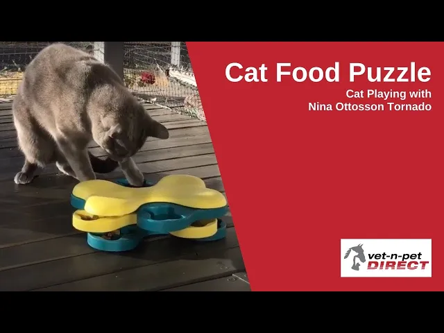Nina Ottosson Dog Tornado