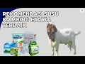 Inilah 10 Susu Kambing Terbaik Gurih Dan Bernutrisi