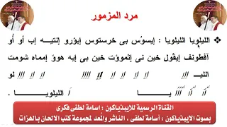                                                                                 دندنها