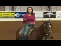 Jordan-12 - Difference In Horse Styles