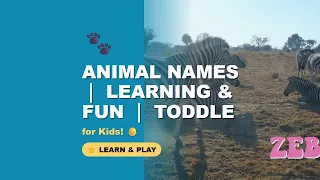 Animal Names for Kids | Learning & Fun | Educational Toddler Video