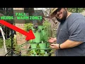 Lagu 6 Must Have Fall Herbs To Grow In Your Garden (Warm Zones)