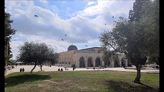 أتعلم أننا اشتقنا   دندنها