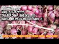 Download Lagu TAK TERDUGA BOSSKU...!!! RABU, 1/10/2025, HARGA BAWANG MERAH HARI INI DIPASAR BAWANG  PROBOLINGGO