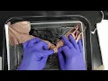 Wide World of Dissection The Squid