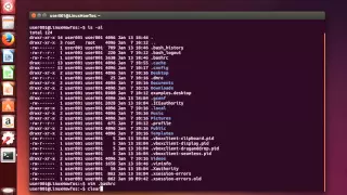 Linux Permanently set environment variables