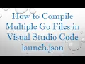 How to Compile Multiple Go Files in Visual Studio Code launch json