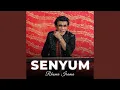 Download Lagu Senyum