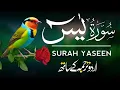 Surah Yaseen | Surah Yaseen With Urdu Translation | Episode - 664