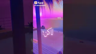 حالات واتس حمو الطيخا حبيتك حب ملهوش تفسير  حالات واتس حمو الطيخا حبيتك حب ملهوش تفسير