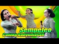 Download Lagu CALUNG BANYUMASAN || SEMPELEO || SITI LENGGER || DVS OFFICIAL NEW ARISTA MUSIC || LIVE SAMPANG