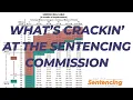 Ep 130 What s Crackin at the Sentencing Commission - Bombshell New Fed Sentenecing Proposals