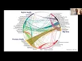 ILLS 2021 RUBEN CIRIA MACHINE LEARNING AND ARTIFICIAL INTELLIGENCE IN LIVER SURGERY