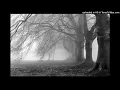 MoonVampire - Vampire II/Suicide