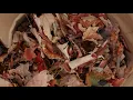 Leaf Collection PSA