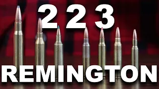 What Can the 223 Remington Really Do