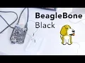 BeagleBone Black Hello World and Python PWM How to use a beaglebone board