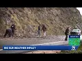 Drivers get out to clear debris as Highway 1 closure turns Big Sur travelers around